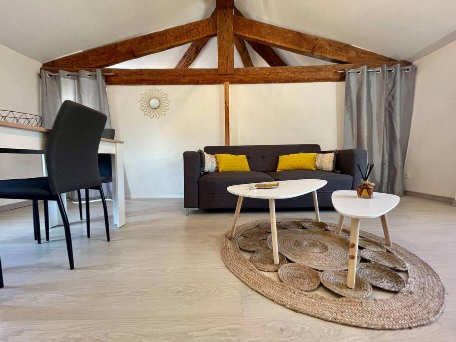 L'Appart De Lea - 60M2 A Carcassonne - 2 Chambres Exterior foto